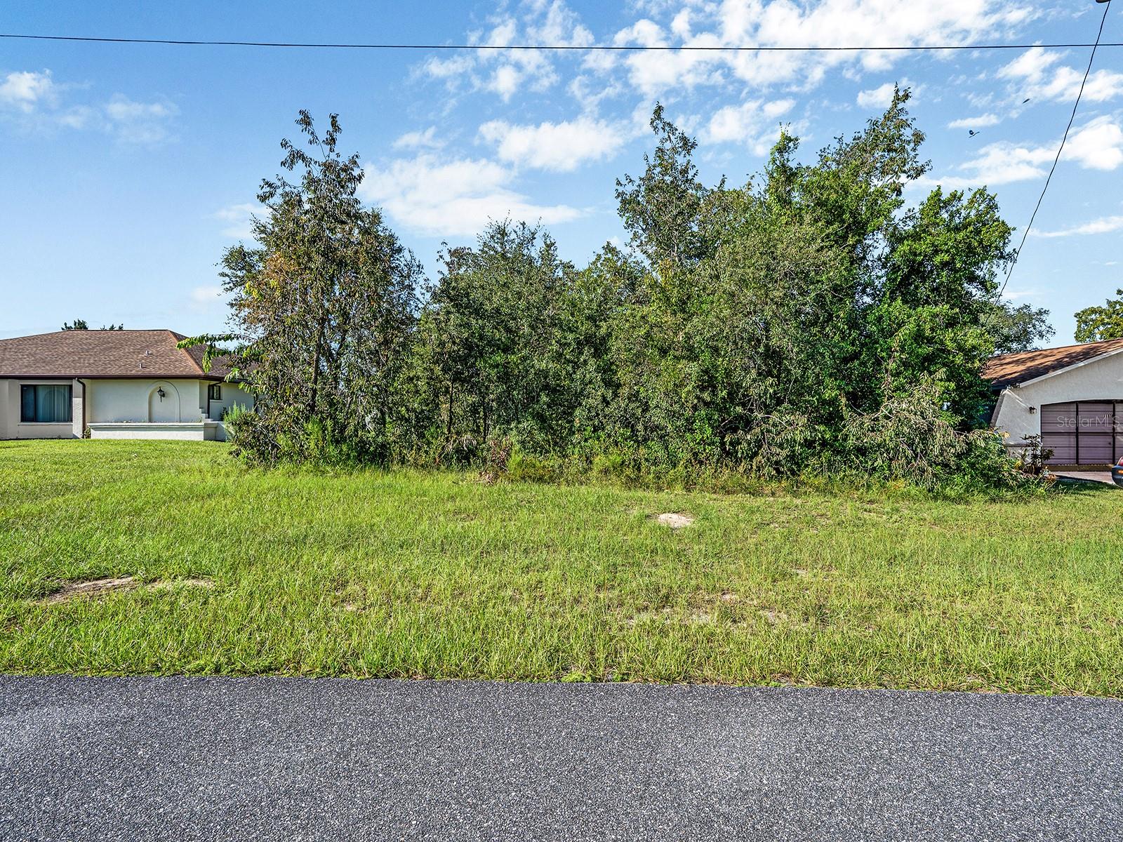 Details for 11366 Redgate Street, Spring Hill, FL 34609