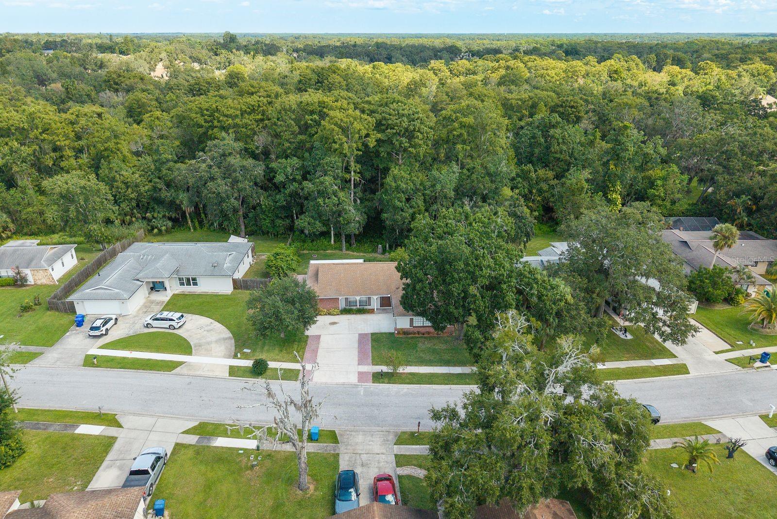 Image 45 of 49 For 2837 Longleaf Lane