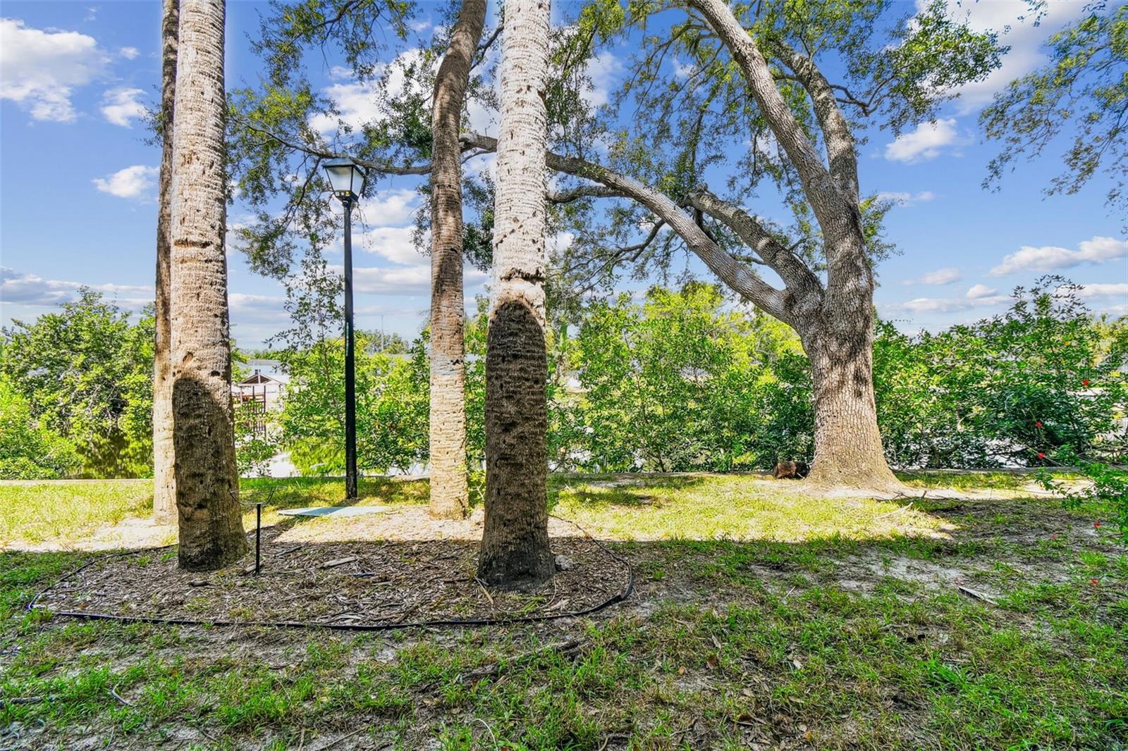 Image 31 of 85 For 9115 Tudor Drive E106