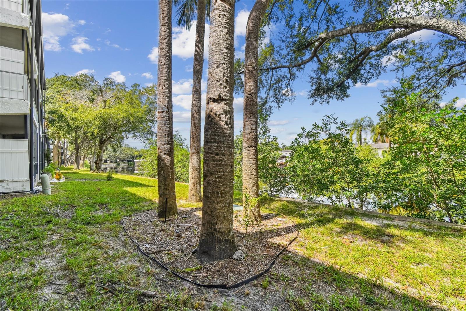 Image 35 of 85 For 9115 Tudor Drive E106