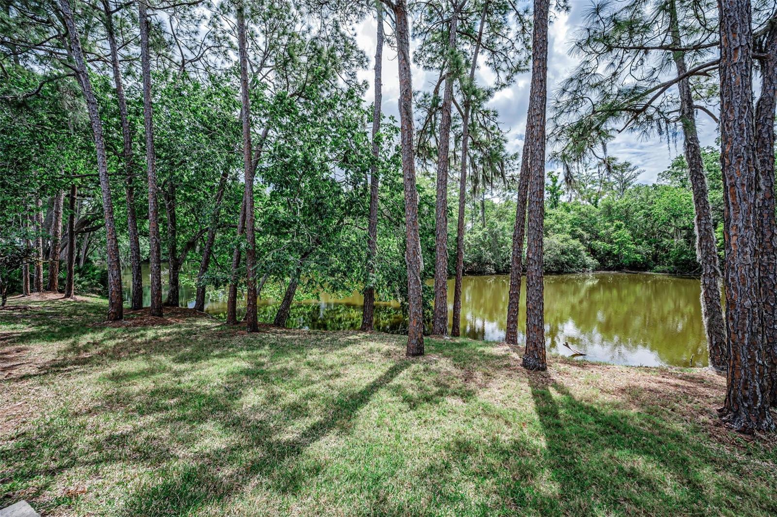 Image 24 of 47 For 1502 Woodstream Drive