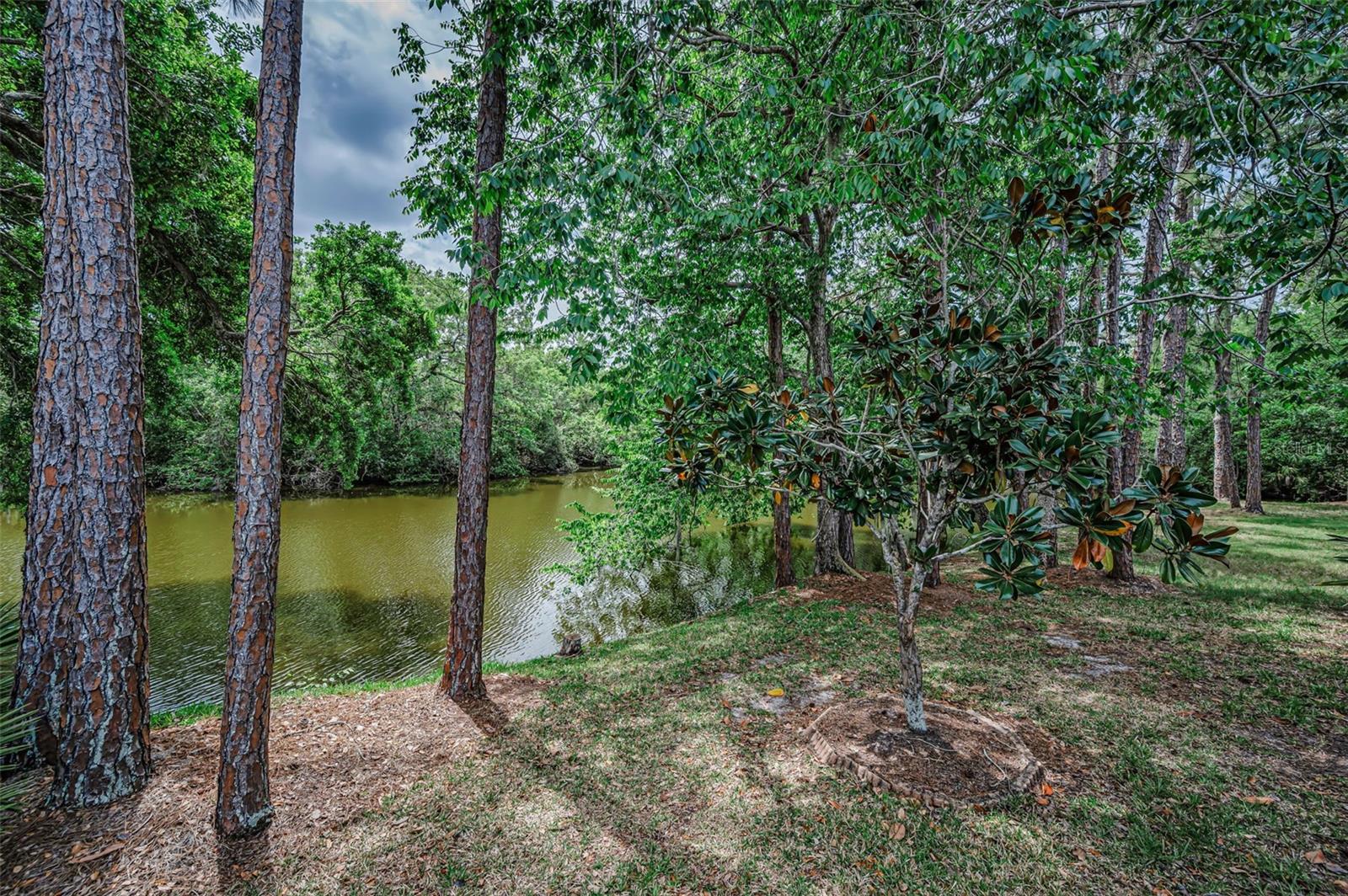 Image 25 of 47 For 1502 Woodstream Drive