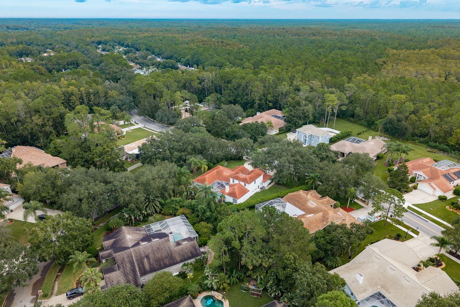 Image 32 of 39 For 1534 Lake Woodlands Parkway