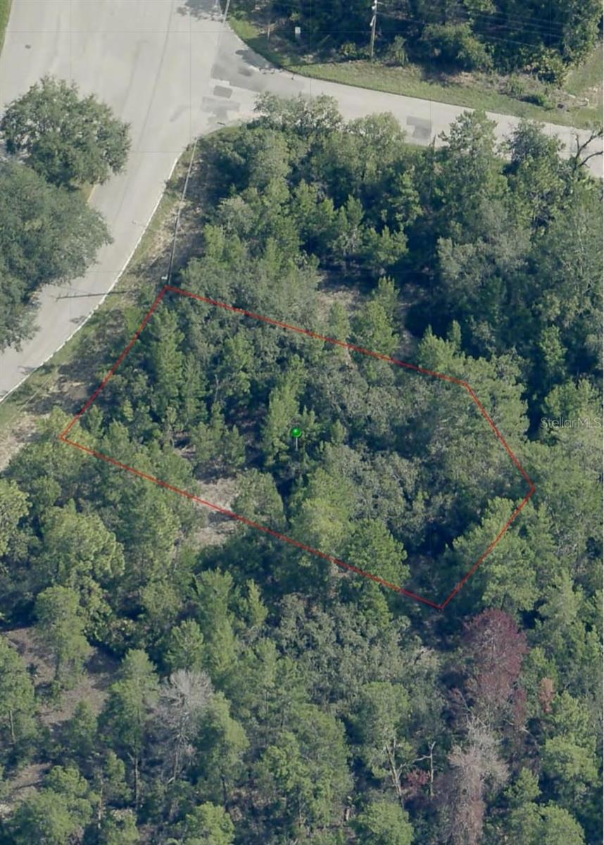 Details for 38 Oak Village Boulevard, HOMOSASSA, FL 34446