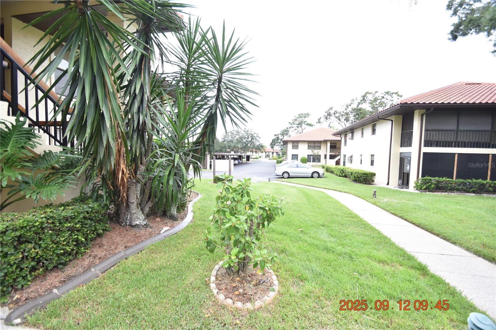 Image 3 of 46 For 2306 Hammock Pine Boulevard 2306