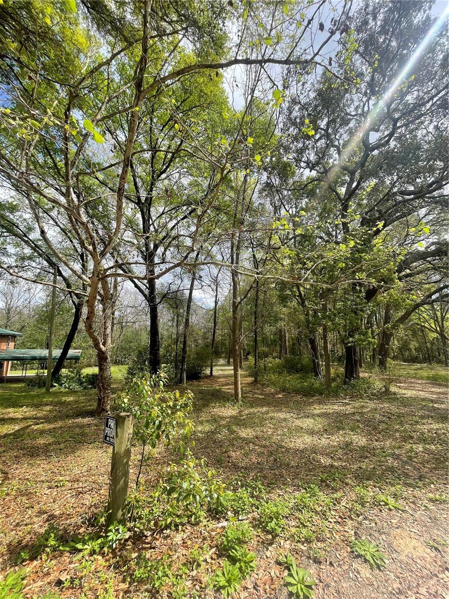 Image 9 of 47 For 121 Sweet Gum Drive