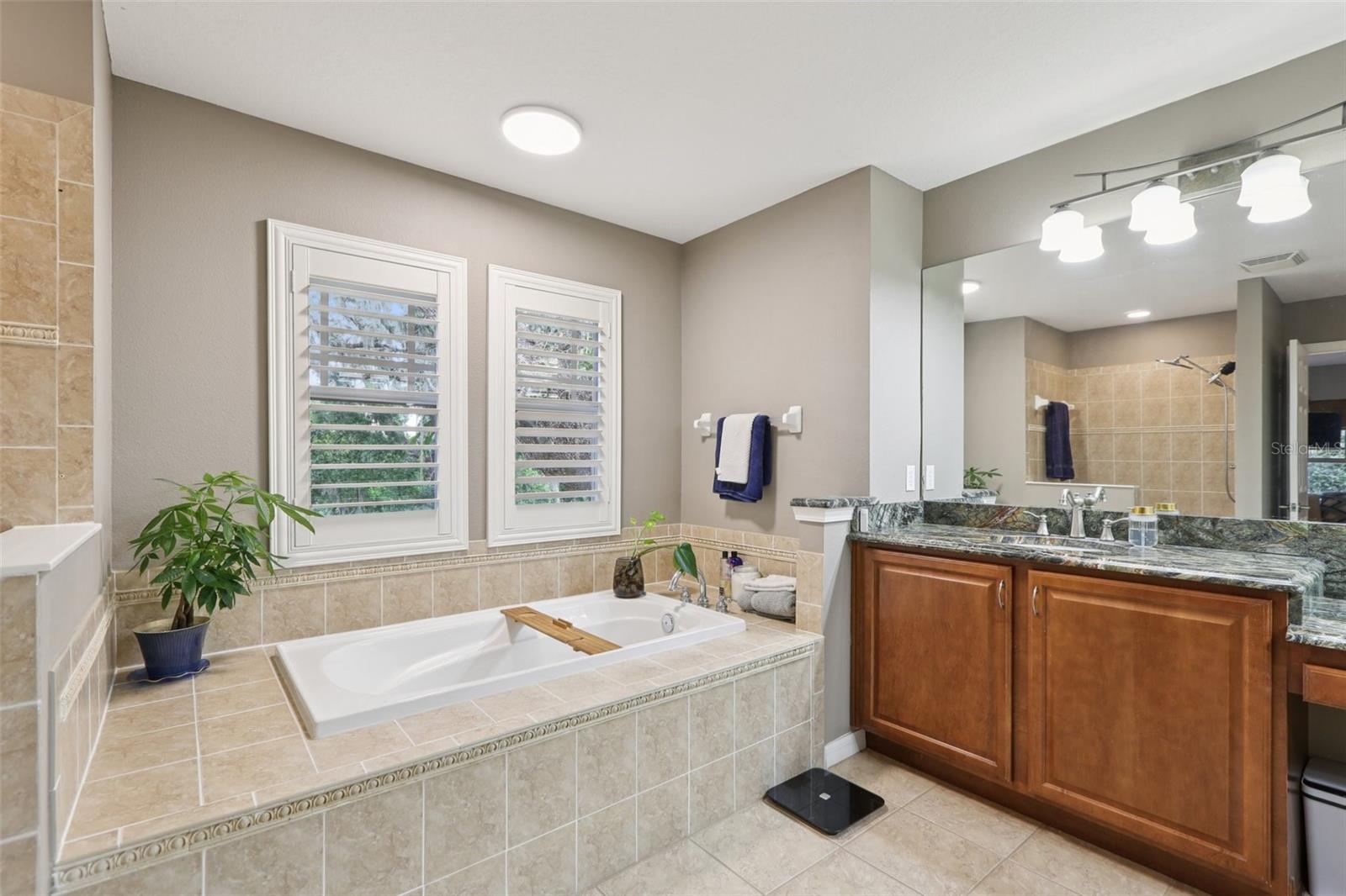 Listing photo id 22 for 210 Arbor Shade Court