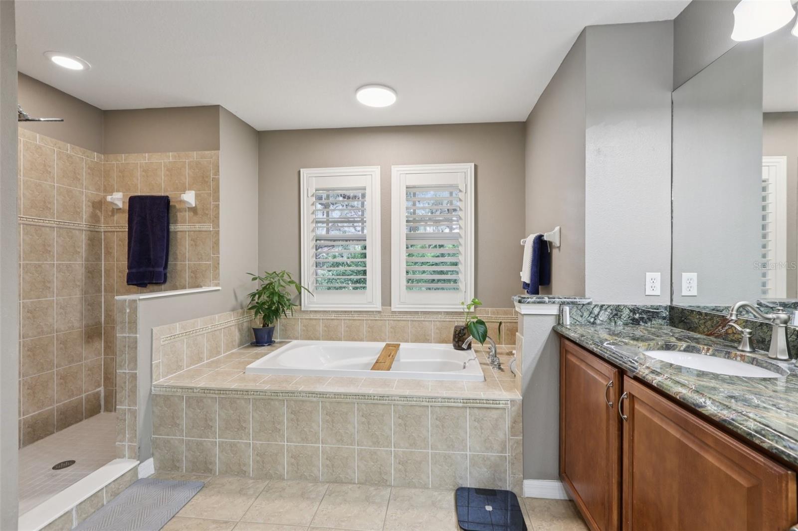 Listing photo id 24 for 210 Arbor Shade Court