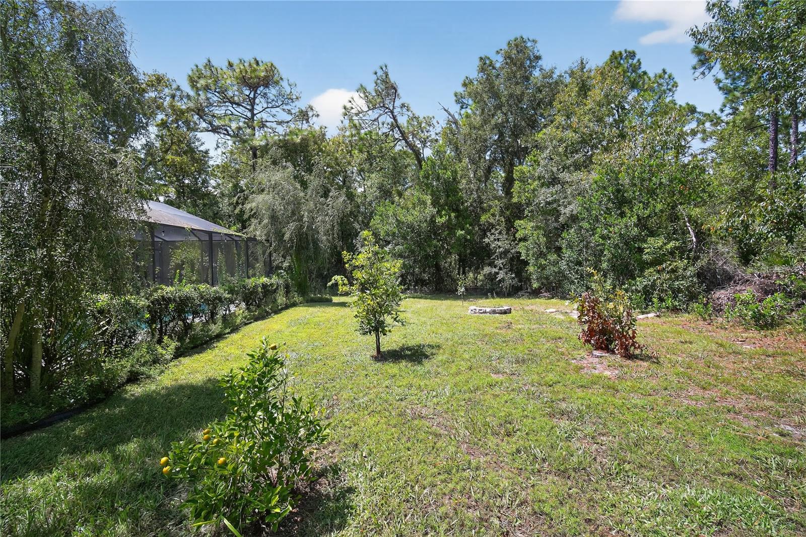 Image 30 of 30 For 8959 Hernando Way