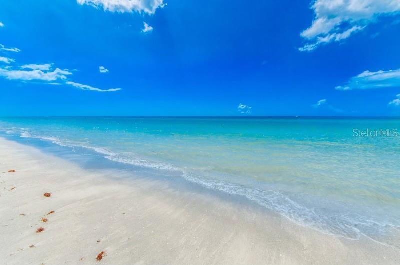 Image 15 of 15 For 1270 Gulf Boulevard 406