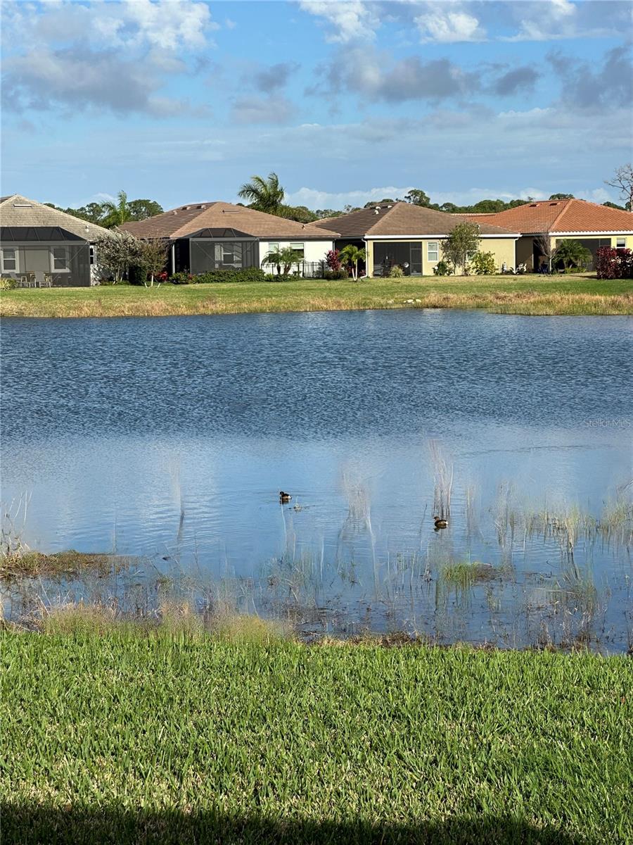 Image 87 of 91 For 20280 Concerto Place