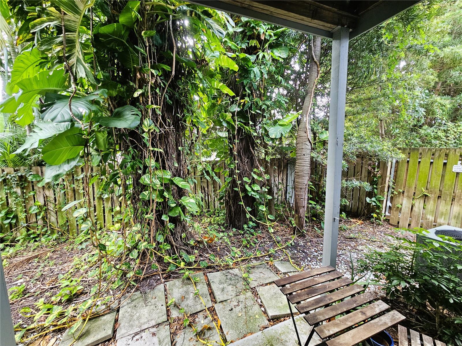 Image 16 of 21 For 3105 Horatio Street C11