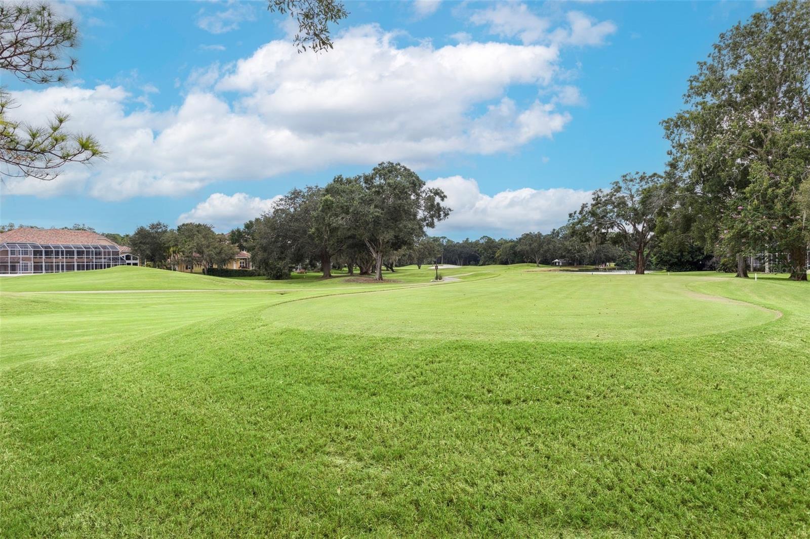Image 52 of 74 For 2019 Diamond Court