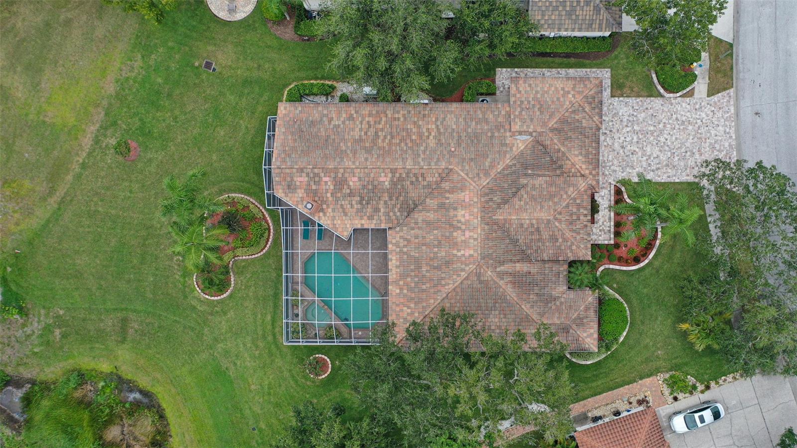 Image 56 of 74 For 2019 Diamond Court