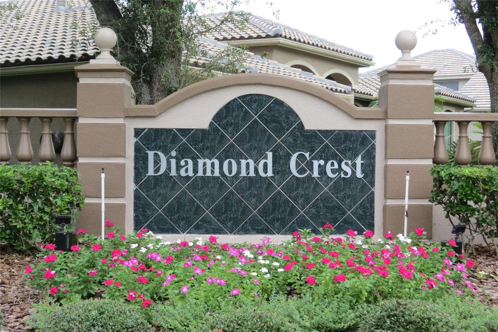 Image 74 of 74 For 2019 Diamond Court