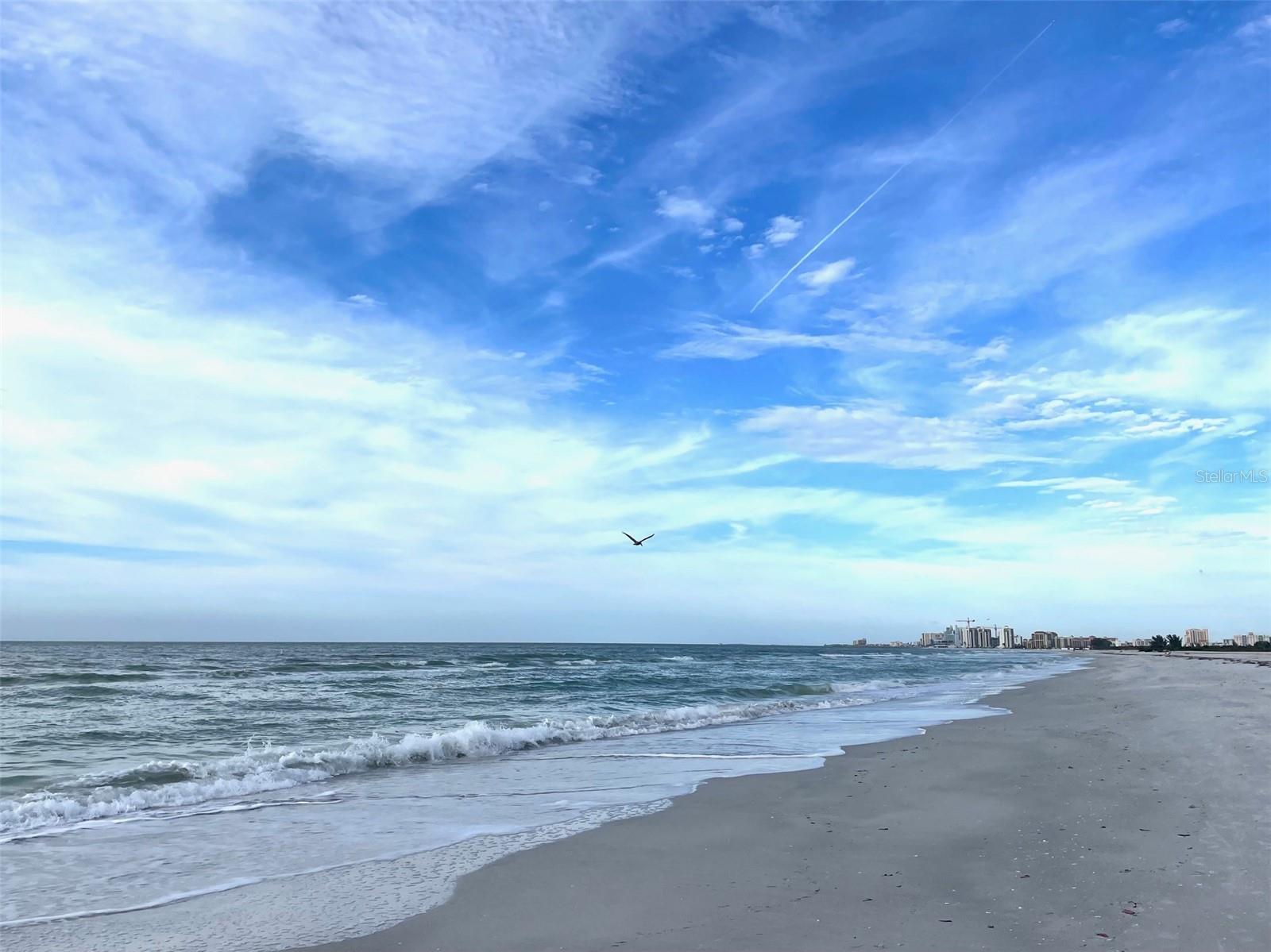 Image 10 of 25 For 1230 Gulf Boulevard 508