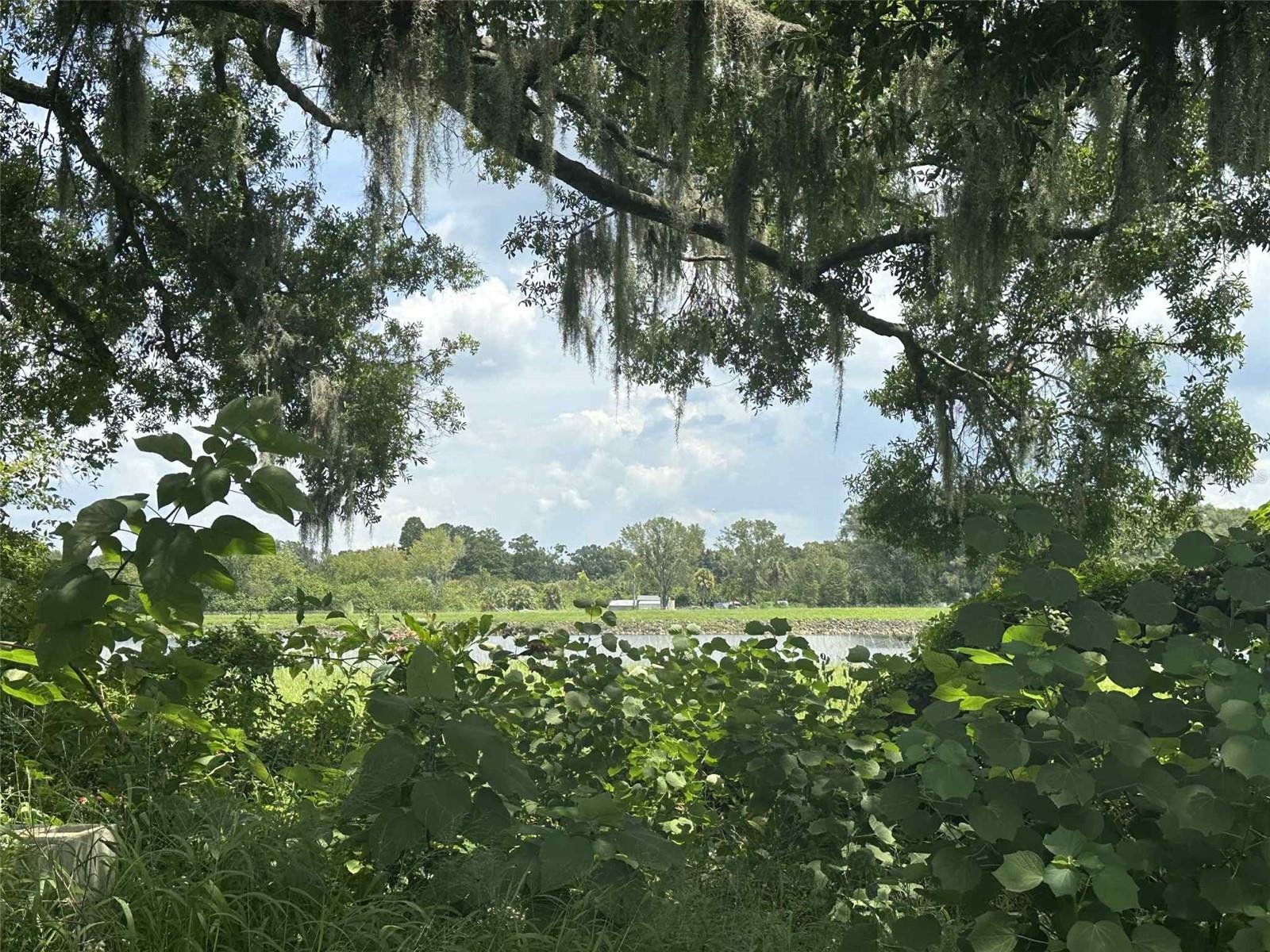 Image 7 of 7 For 5505 Maple Lane