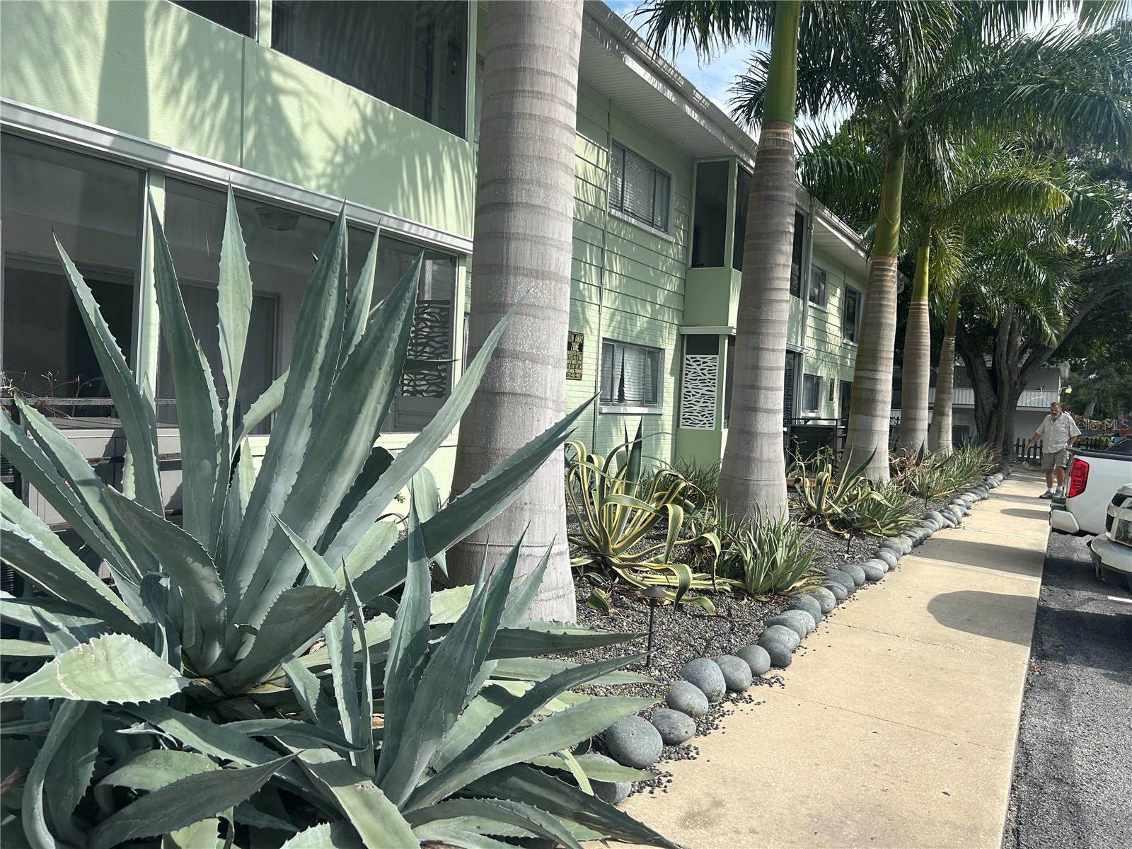 Details for 1329 Drew Street 4, CLEARWATER, FL 33755
