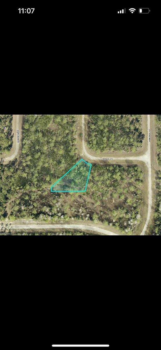 Details for 307 Nagle Court, LEHIGH ACRES, FL 33972