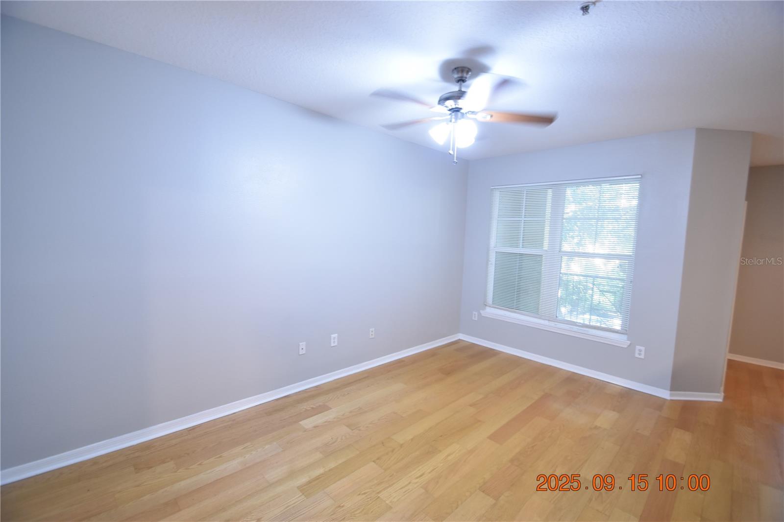 Image 12 of 49 For 1810 Palm Avenue 6201