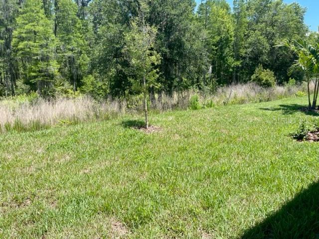 Image 53 of 62 For 19233 Old Spanish Road