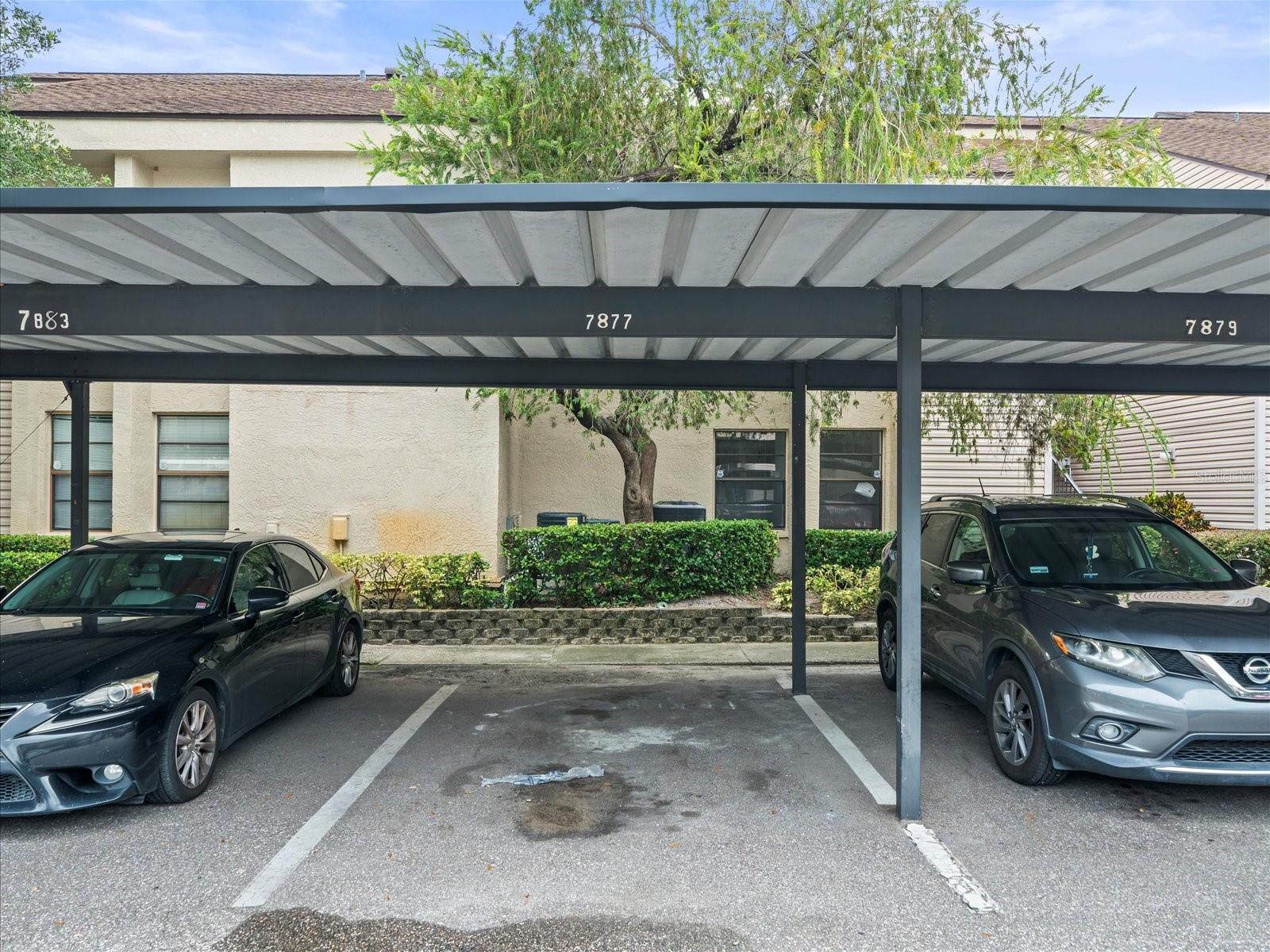 Image 22 of 23 For 7877 Niagara Avenue 1802