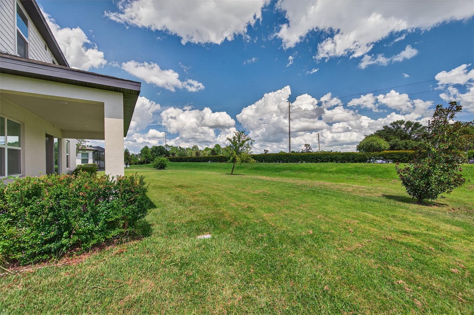 Image 46 of 74 For 34480 Wynthorne Place