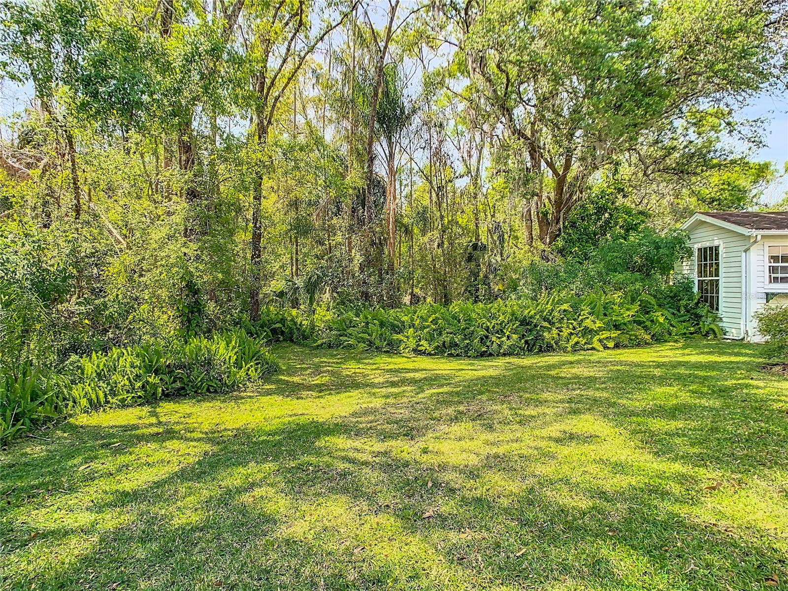 Image 51 of 57 For 28534 Fairweather Drive
