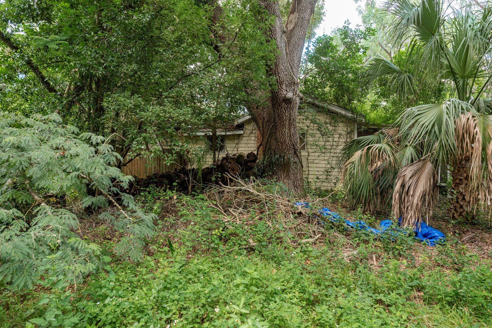 Image 24 of 24 For 1838 Sylvan Drive