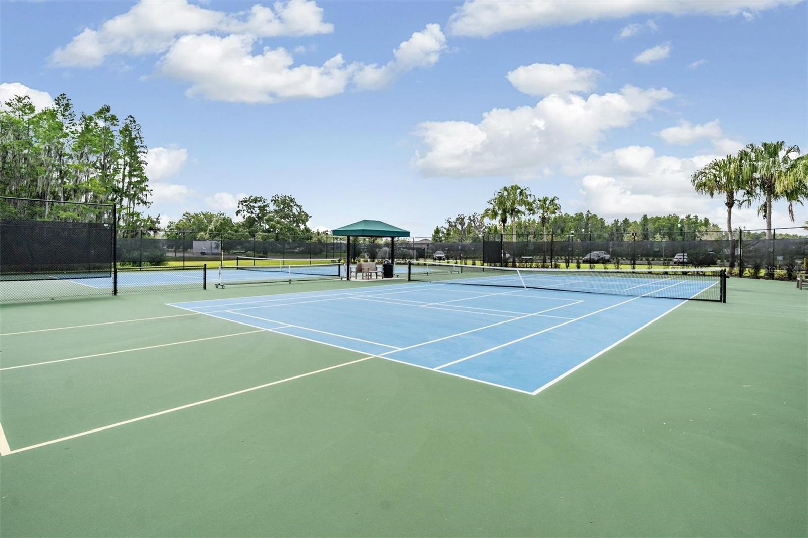 Image 50 of 55 For 19433 Redwood Point Drive