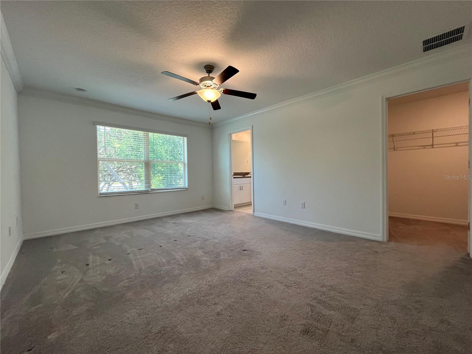 Image 13 of 26 For 30813 Veridian Way