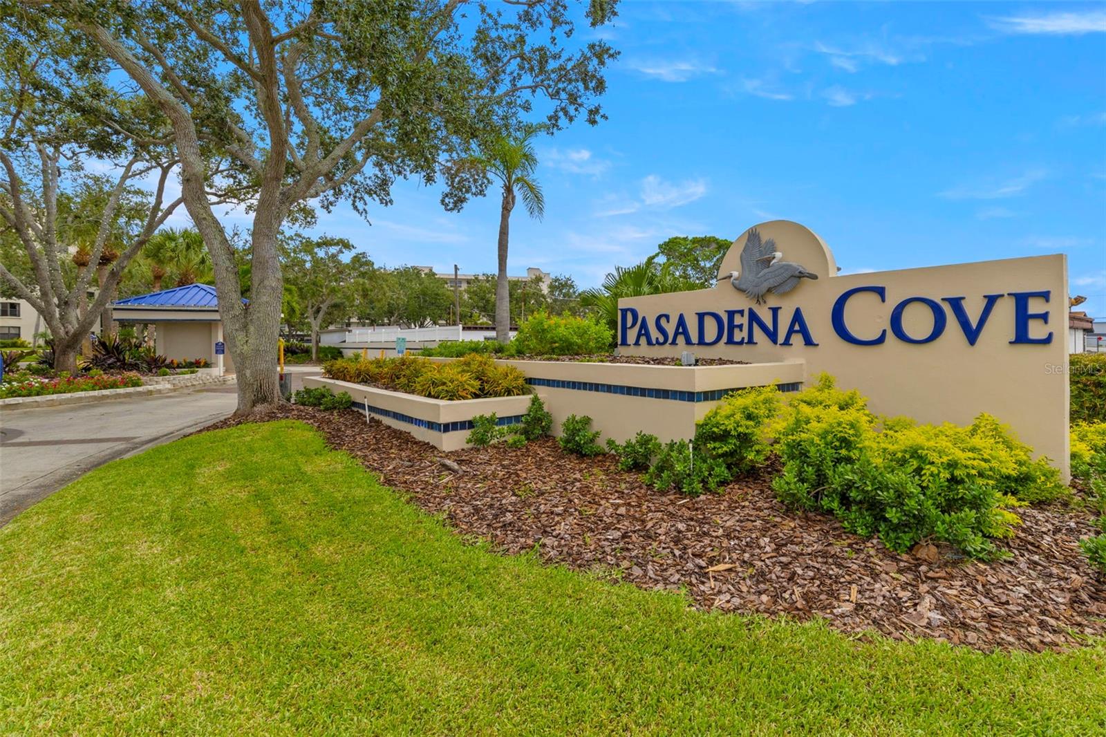 Image 41 of 50 For 1324 Pasadena Avenue S 202