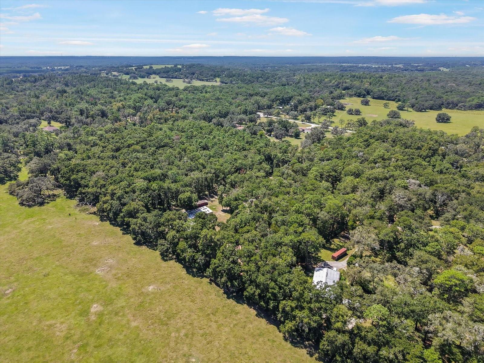 Image 34 of 36 For 9124 Sikes Cow Pen Road