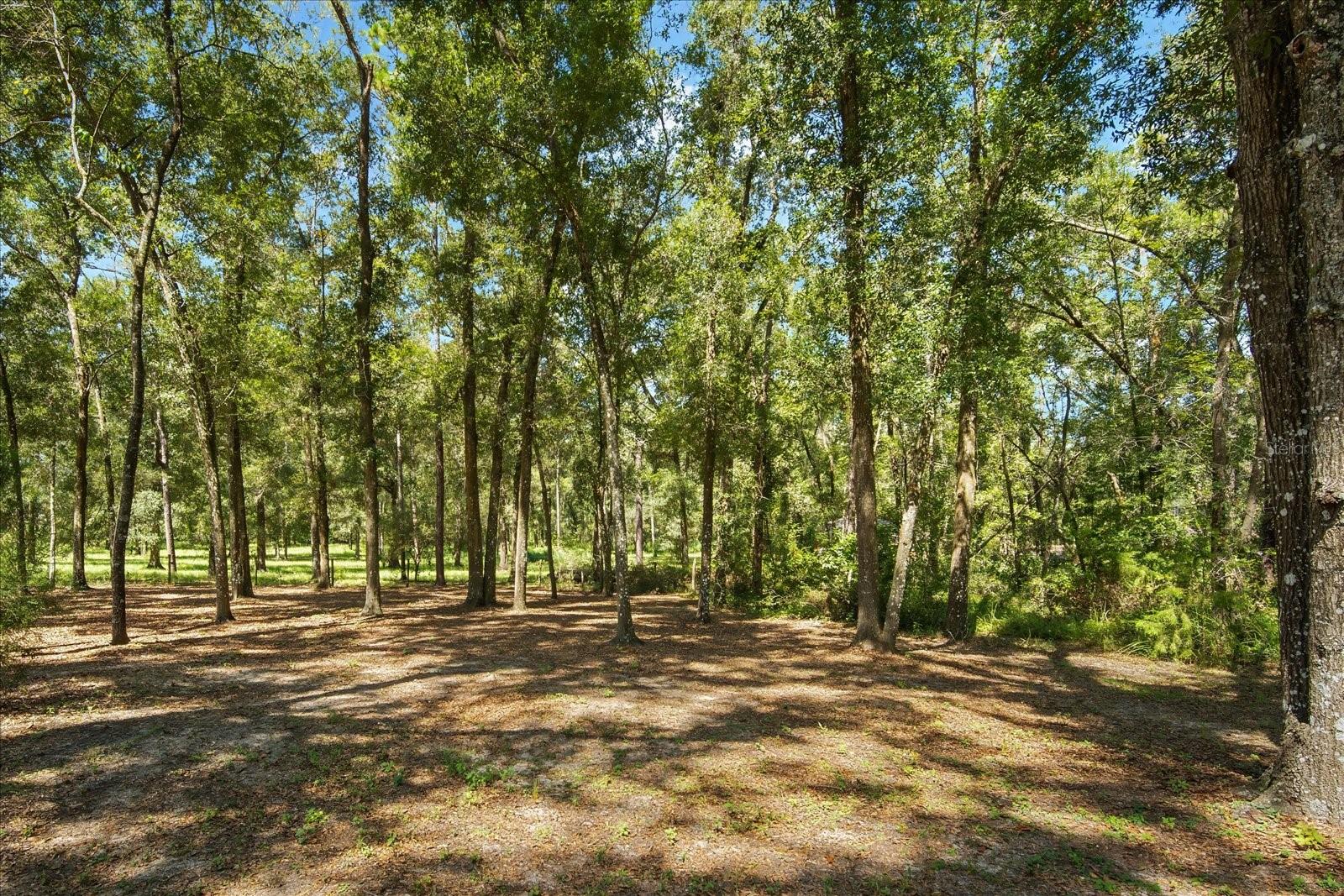 Image 6 of 36 For 9124 Sikes Cow Pen Road