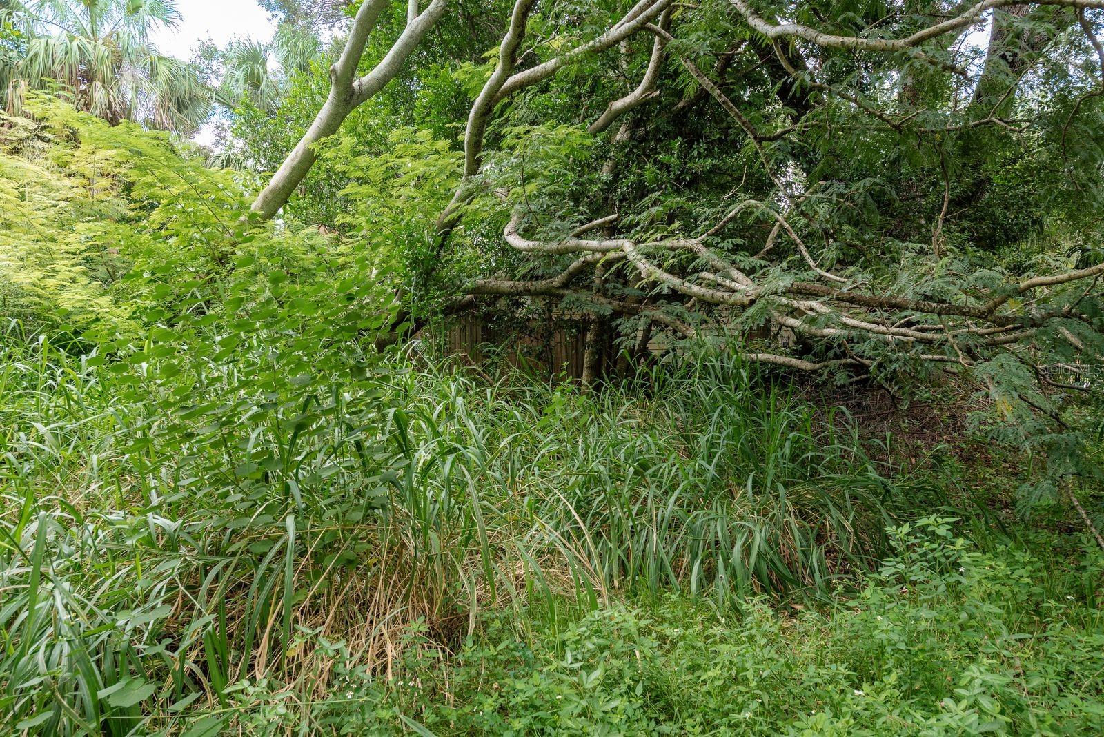 Image 23 of 24 For 1838 Sylvan Drive