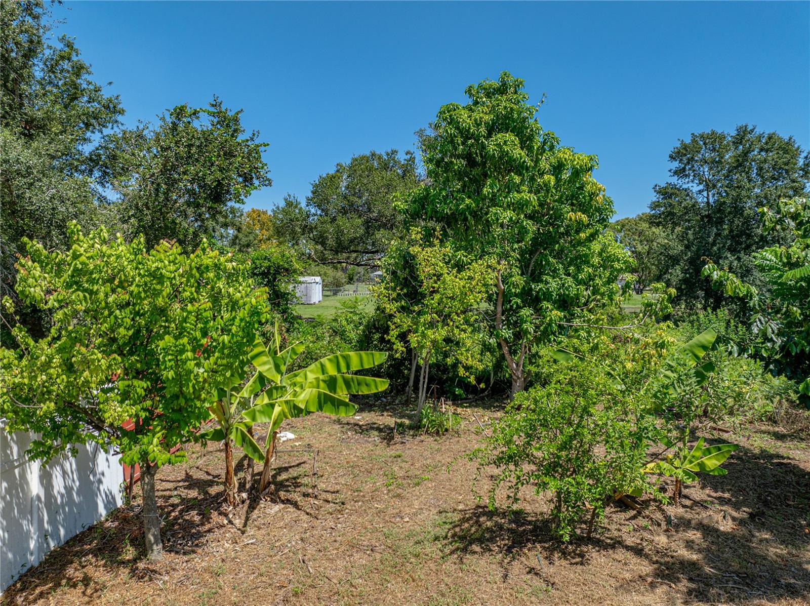 Image 84 of 84 For 31511 Saddle Lane