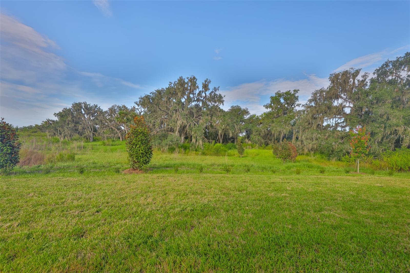 Image 33 of 51 For 4021 Westwood Fields Loop