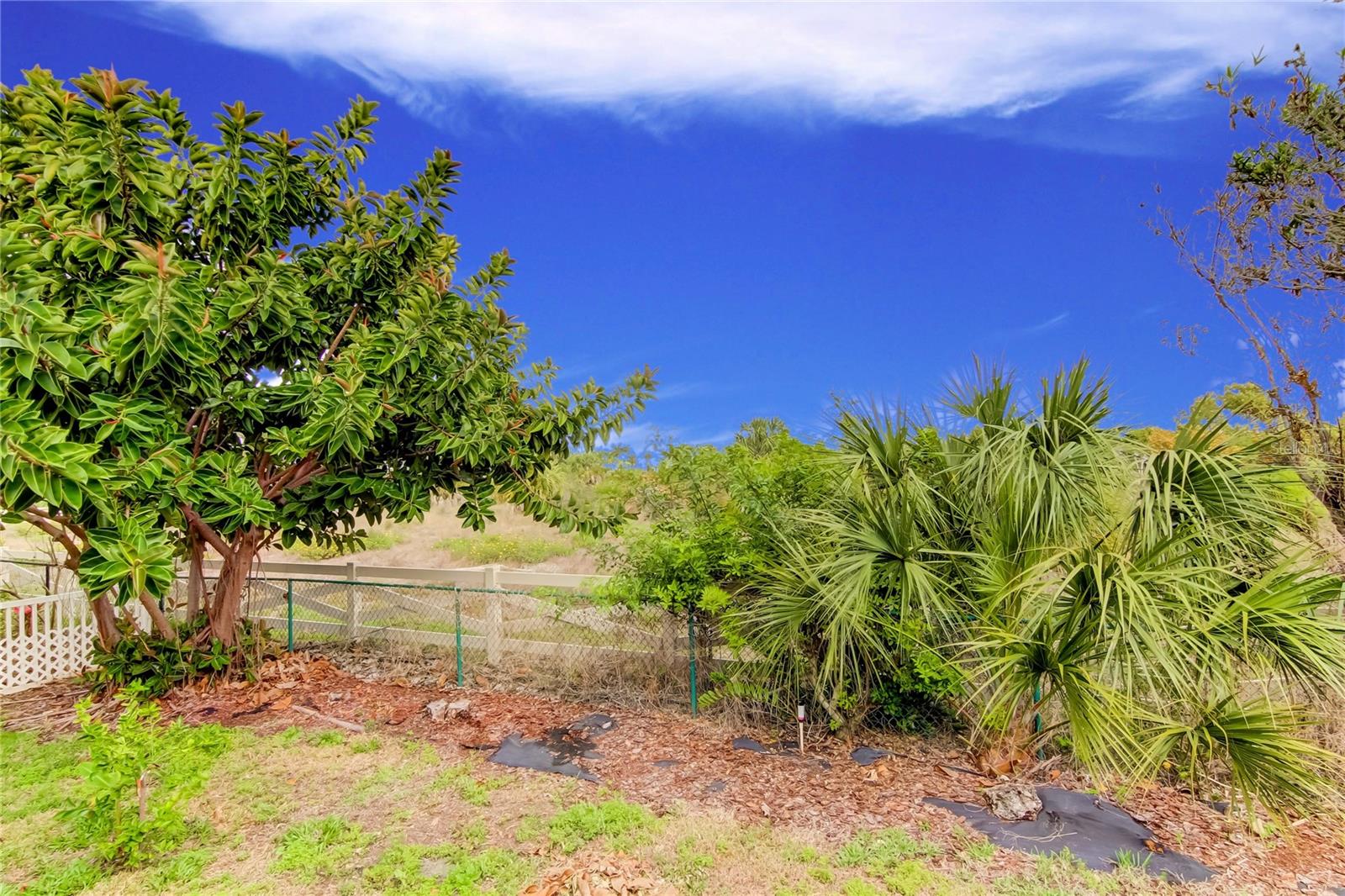 Image 62 of 64 For 1421 Beach Club Lane