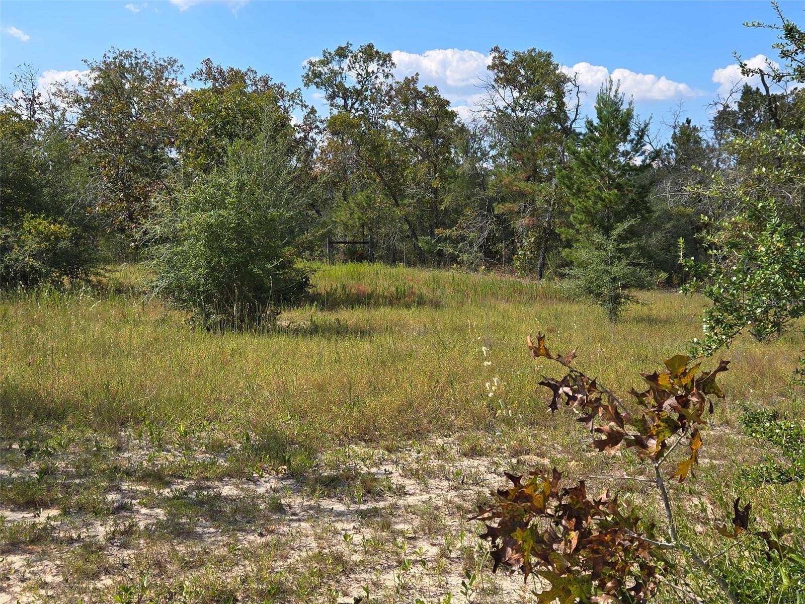 Image 12 of 13 For 3304 Sears Road