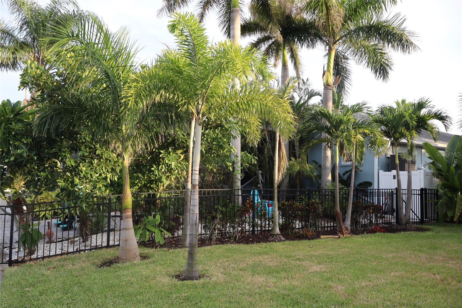 Listing photo id 59 for 1019 Spindle Palm Way