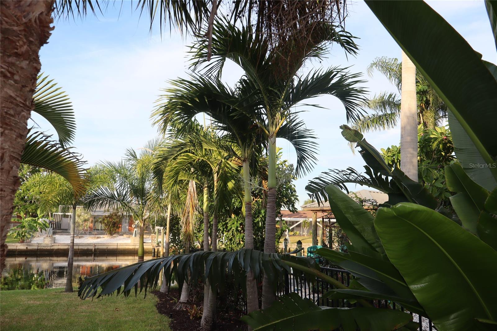 Listing photo id 67 for 1019 Spindle Palm Way