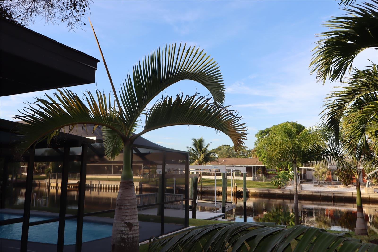 Listing photo id 68 for 1019 Spindle Palm Way