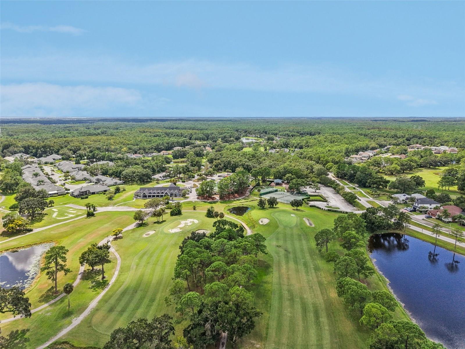 Image 43 of 46 For 12906 Red Cardinal Drive