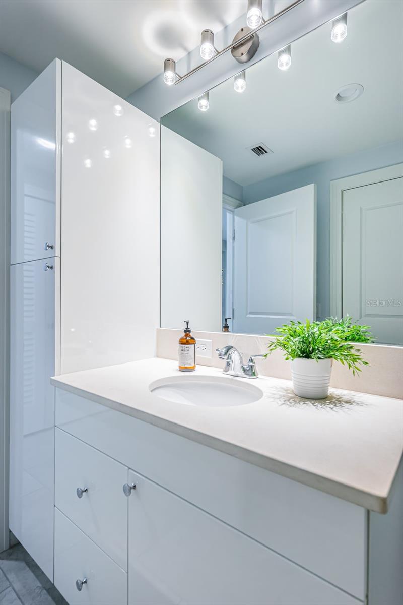 Image 25 of 47 For 1325 Snell Isle Boulevard Ne 611