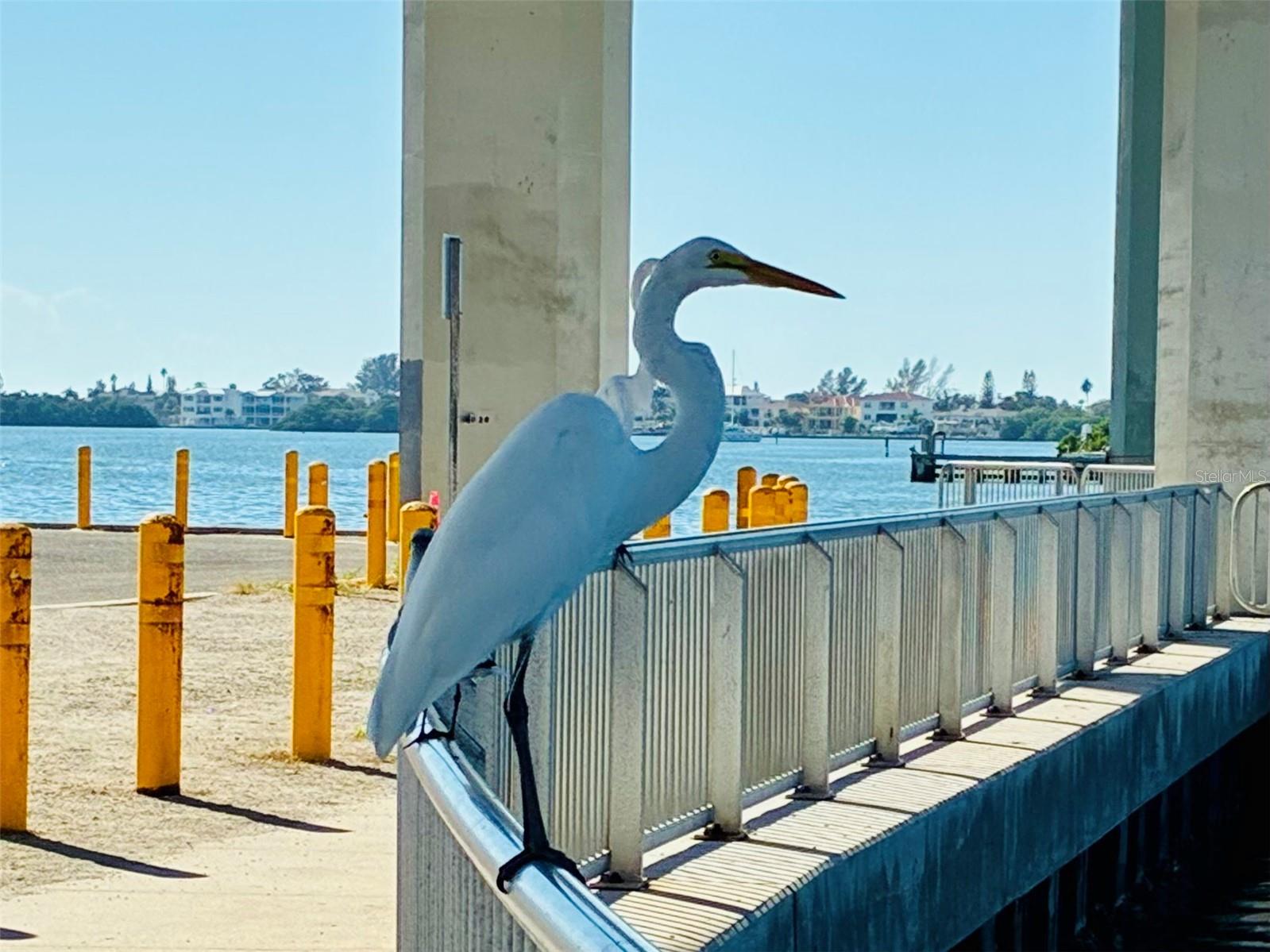 Image 73 of 75 For 113 12th Street