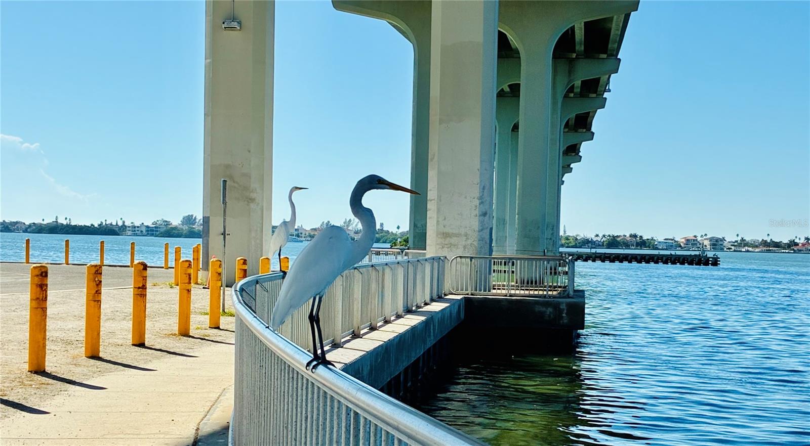 Image 74 of 75 For 113 12th Street