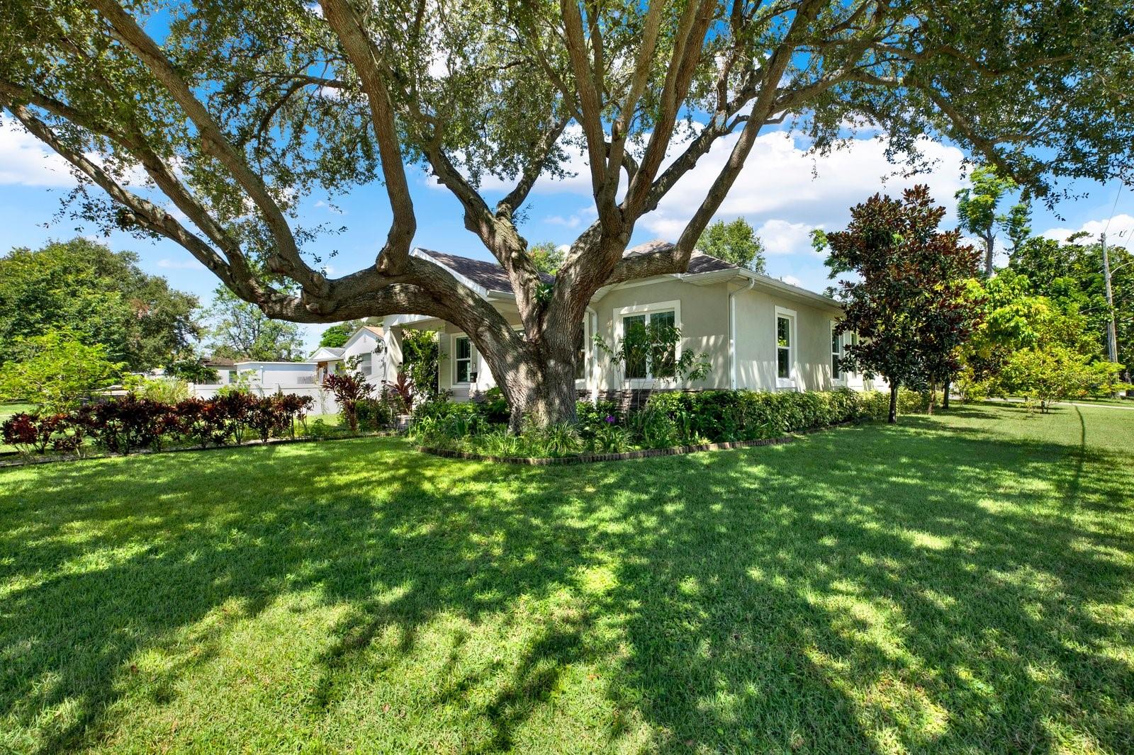 Image 48 of 68 For 1901 25th Avenue N