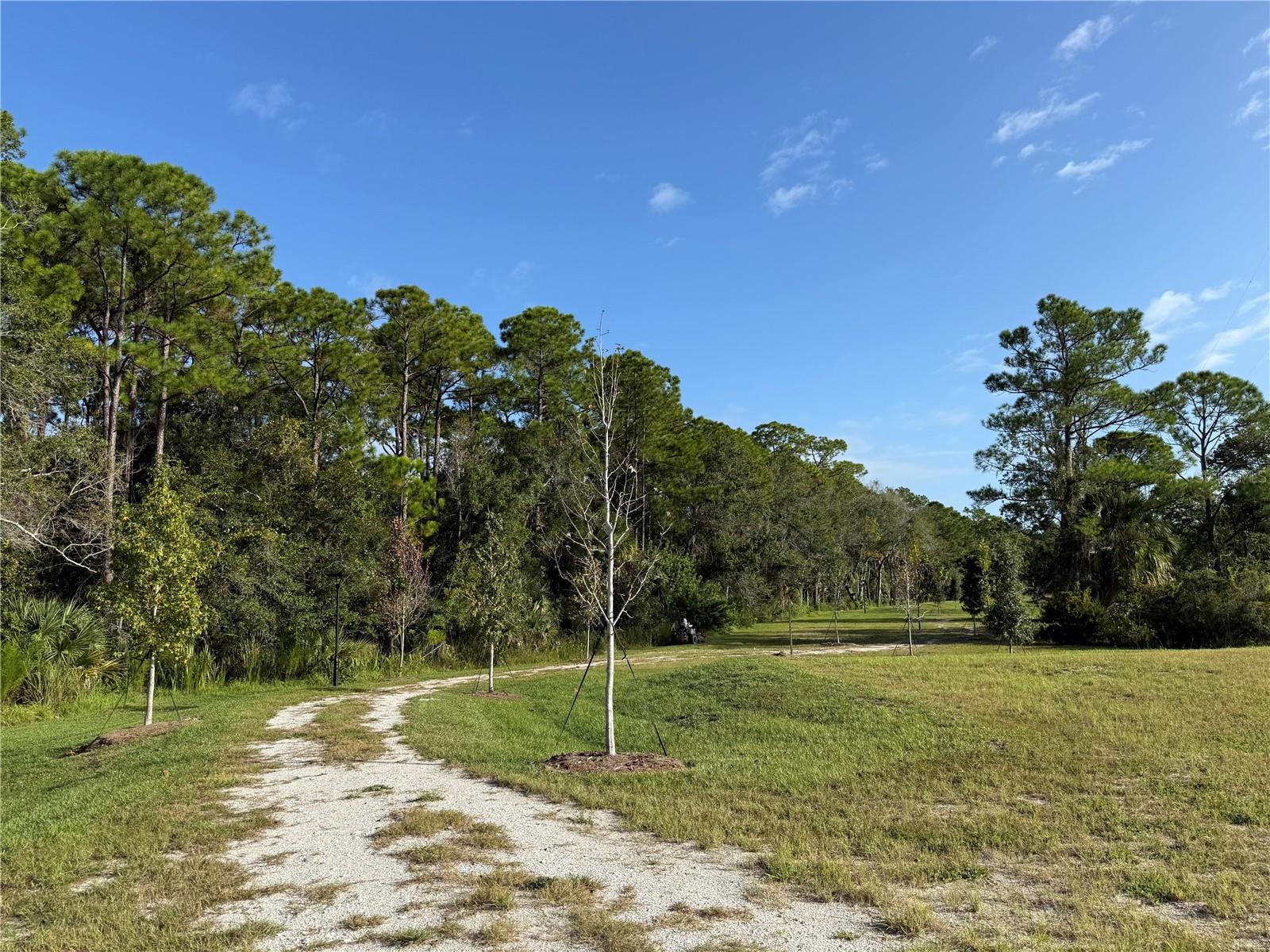 Image 10 of 14 For 7653 Deer Valley Cir.