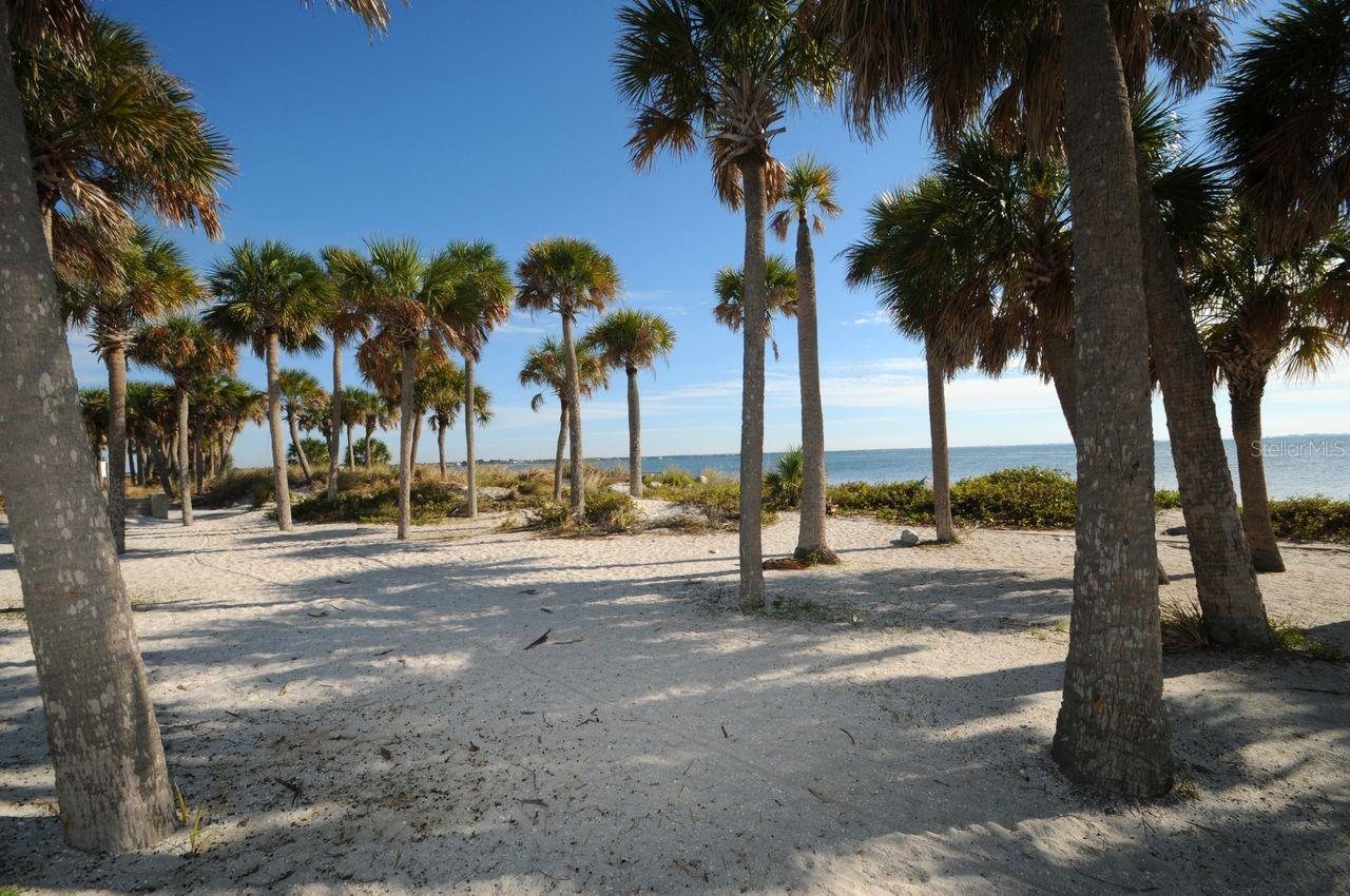 Image 51 of 60 For 1611 Gulf Beach Boulevard