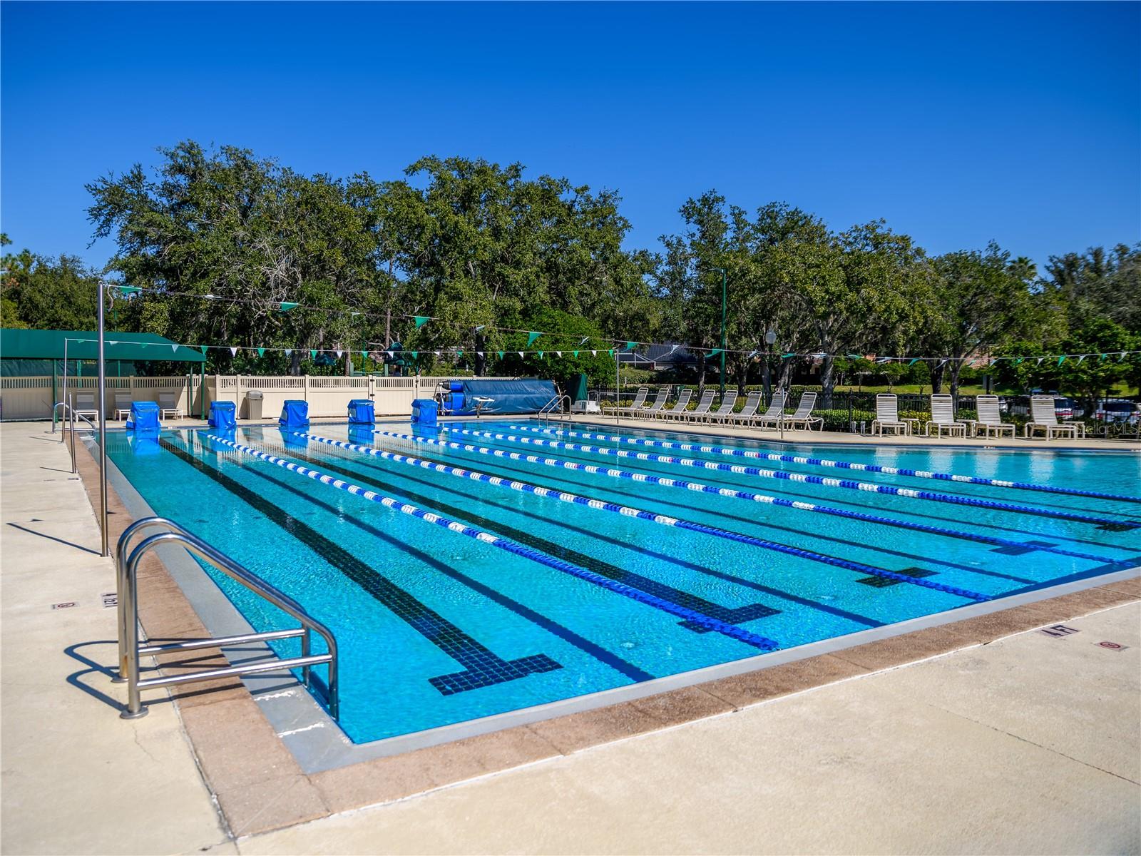 Image 81 of 100 For 10117 Whisper Pointe Drive